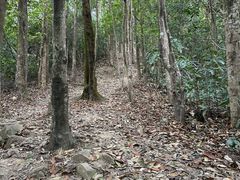 -梧桐山风景名胜区