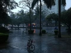 -罗家杏传统特色海南粉(人民西路总店)