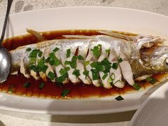 -金美华轩(东方路齐鲁店)