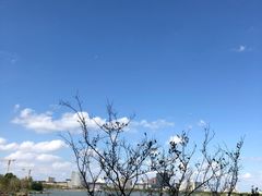 -上海滴水湖皇冠假日酒店