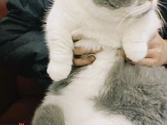 -瑞鹏瑞爱宠物医院·全科·猫科·血液透析中心(龙头寺店)