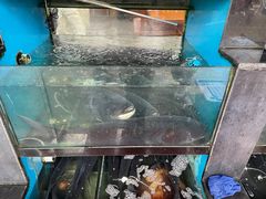 -全乐鱼馆·淳牌有机鱼直营店