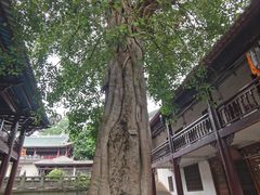 -南华禅寺