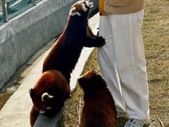 -水上乐园·欢乐世界