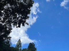 -杭州上天竺法喜讲寺