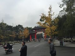 -四川大学(望江校区)