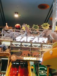 -卡通尼·Safari非洲探索乐园·生日会(金桥国际商业广场店)