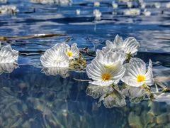 -丽江泸沽湖景区