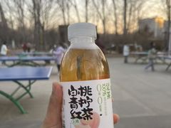 -五环公园