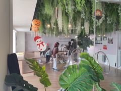 -Husky Go! 哈士奇体验馆·宠物咖啡厅狗咖