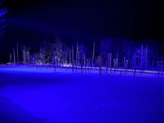 -青池