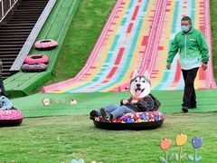 -黄海国家森林公园