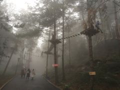 -梦幻奥陶纪景区