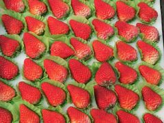 -百果园(板桥路蓝水湾店)