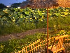 -梁鸿国家湿地公园