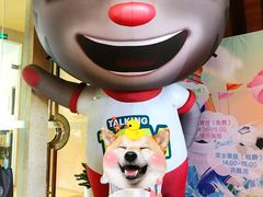 -宁波九龙湖开元度假村