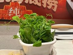 -海底捞火锅(朝阳北路生日主题店)