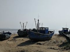 -仙人岛