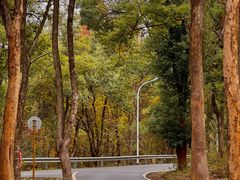 -青龙山国家森林公园