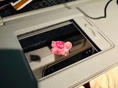 -新加坡航空公司(ION)