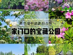 -郑和公园