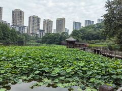 -龙头寺公园