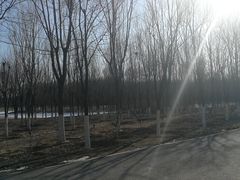 -东郊湿地公园