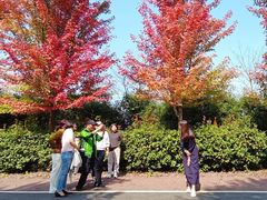-南京枫彩漫城