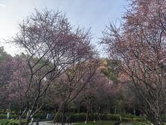 -桐乡植物园