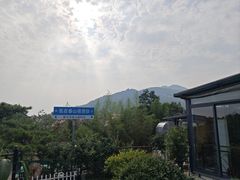 -蘇河湾·新鲁菜·泰山宴(泰山店)