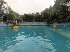 -庐山天沐温泉度假村