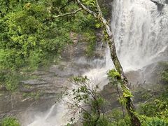 -海南热带雨林国家公园吊罗山景区