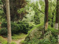 -前关湿地公园