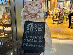 -藏猫猫咖啡主题馆(中央大道店)