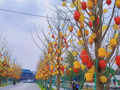 -龙华素斋(龙华路店)