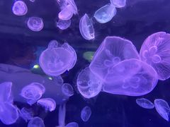-杭州海底世界
