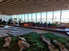 -Seesaw Coffee(朝阳大悦城店)