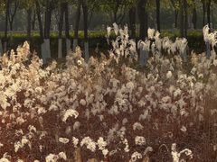 -汉长安城未央宫国家考古遗址公园