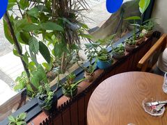 -枫桥边coffee(滨江路店)