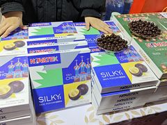 -天津梅江会展中心