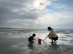 -红树林天天赶海