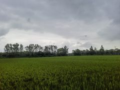 -嘉北郊野公园