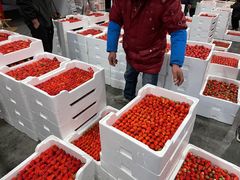 -西郊国际农产品交易中心