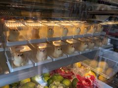 -柴犬高等学院·狗咖·柴犬售卖·宠物训练