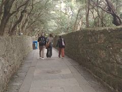 -普陀山风景区-佛顶山