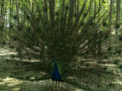 -昆山城市生态森林公园