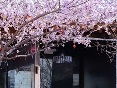 -三里河公园
