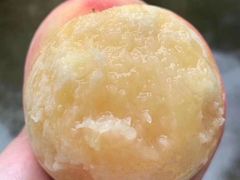 -南汇水蜜桃采摘(大团店)