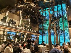 -桂满陇·海市蜃楼·黑金(国金店)