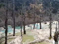 -黄龙山原始森林景区